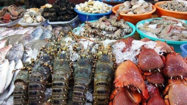 buy seafood in da nang, compass travel vietnam, da nang inside guide, da nang travel guide, da nang vietnam, transport to da nang, travel to da nang, travel to vietnam, the addresses to buy seafood in da nang are fresh – clean – cheapest