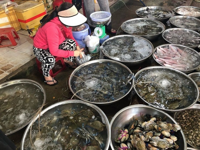 buy seafood in da nang, compass travel vietnam, da nang inside guide, da nang travel guide, da nang vietnam, transport to da nang, travel to da nang, travel to vietnam, the addresses to buy seafood in da nang are fresh – clean – cheapest