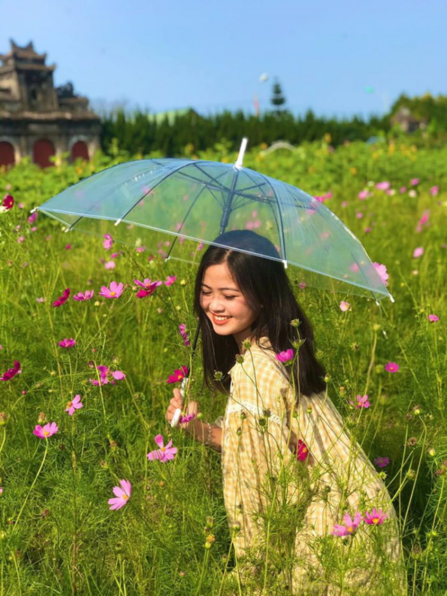 beautiful flower gardens in hue, compass travel vietnam, hue inside guide, hue travel guide, hue vietnam, transport to hue, travel to hue, travel to vietnam, attendance 7 beautiful flower gardens in hue are super shimmering
