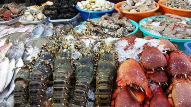 Addresses to buy fresh seafood in Ha Long