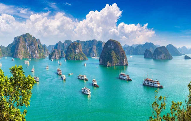 compass travel vietnam, ha long inside guide, ha long travel guide, ha long vietnam, hotels in ha long near the sea, nice rooms and good prices, transport to ha long, travel to ha long, travel to vietnam, the hotels in ha long near the sea, nice rooms and good prices