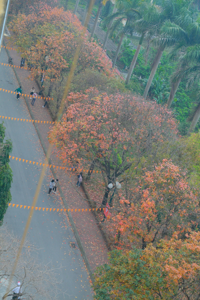 hanoi, hanoi pedagogical university, hanoi travel guide, young people check-in the ‘love road’ in hanoi￼
