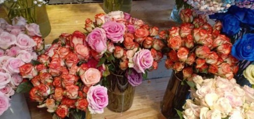 7 shop hoa tươi đẹp nhất quận 1, tp. hcm