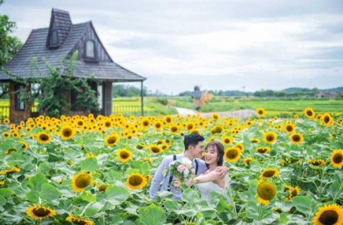 3 địa điểm chụp ảnh cưới đẹp nhất Đông Anh, Hà Nội