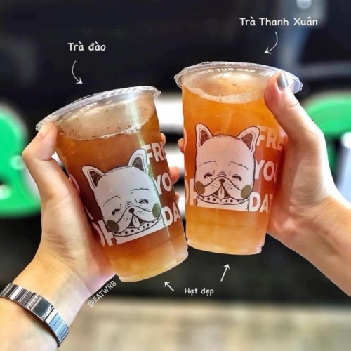 5 Quán trà sữa ngon nhất phố Phạm Ngọc Thạch, Hà Nội