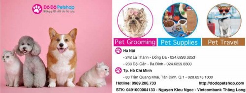 10 cửa hàng phụ kiện, thức ăn cho chó mèo quận ba đình, hà nội