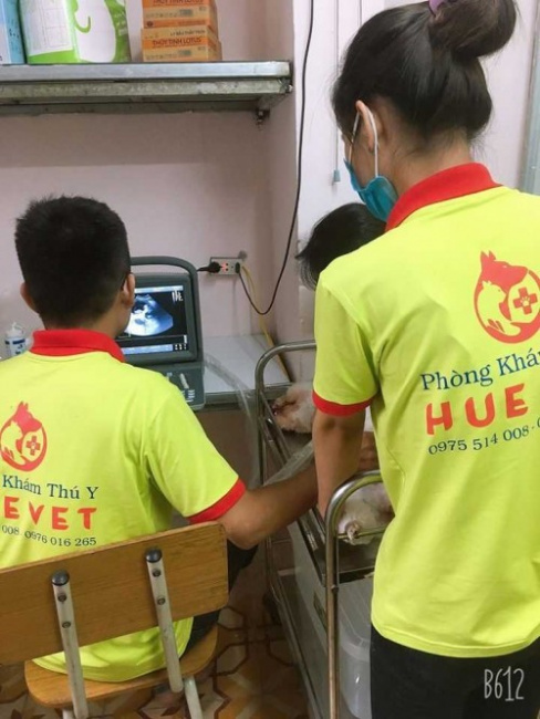 8 Phòng khám thú y uy tín nhất quận Thanh Xuân, Hà Nội