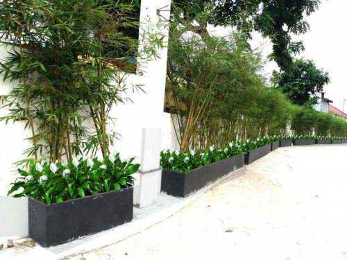 10 công ty thiết kế thi công lắp đặt hoa, cây cảnh cho chung cư, biệt thự ở tp. hcm