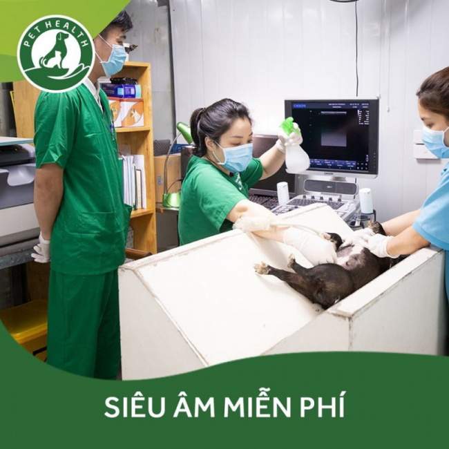 4 Phòng khám thú y uy tín nhất quận Đống Đa, Hà Nội
