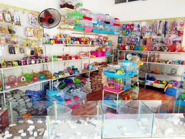 7 Shop bán phụ kiện thú cưng uy tín và chất lượng nhất tại Nha Trang
