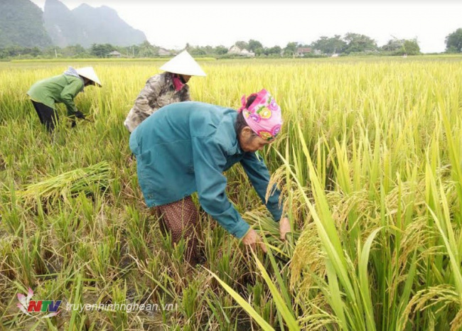 10 bài thơ hay của nhà thơ nguyễn sĩ đại