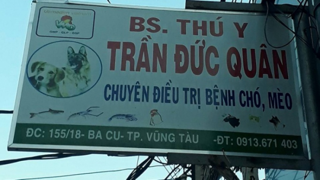 7 phòng khám thú y ở vũng tàu uy tín và chuyên nghiệp nhất