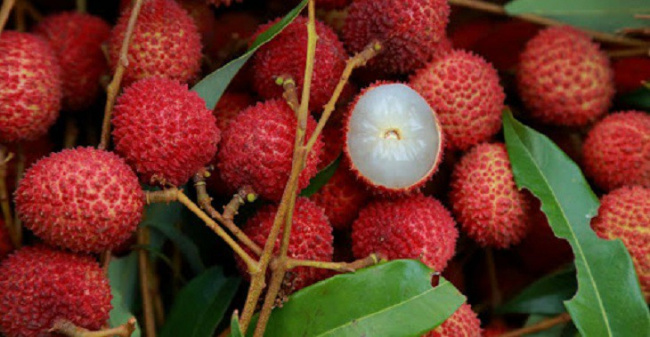 8 loại trái cây thuần việt, đặc sản nổi tiếng nhất việt nam