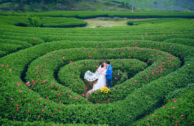 10 địa diểm chụp ảnh cưới đẹp và lãng mạn nhất tại mộc châu