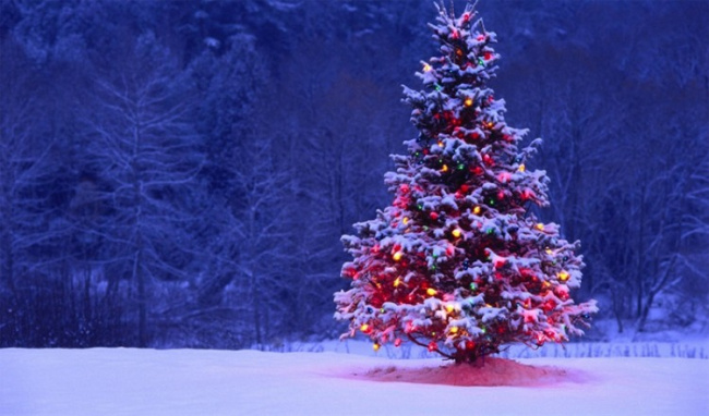 Nguồn gốc, ý nghĩa và 5 ý tưởng trang trí cây thông Noel phổ biến, dễ làm nhất