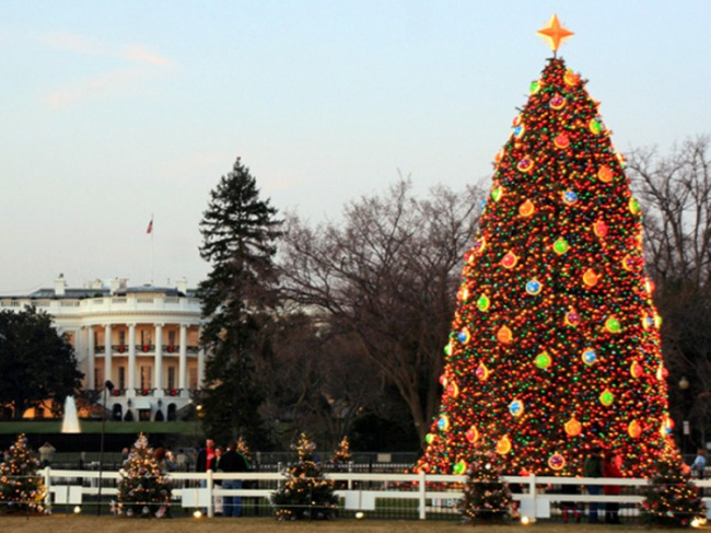 10 đồ trang trí Noel không thể thiếu trên cây Thông Giáng sinh