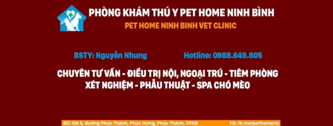 5 phòng khám thú y uy tín nhất ở Ninh Bình