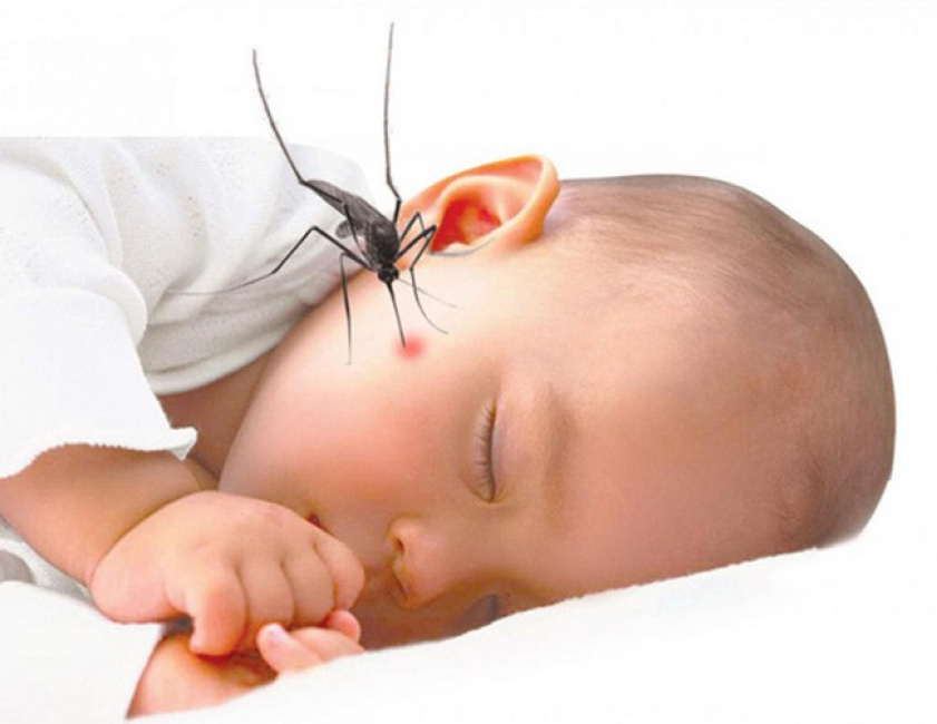 10 Biện pháp phòng, tránh muỗi truyền bệnh