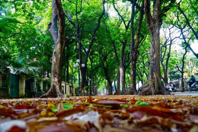 13 địa điểm chụp ảnh đẹp nhất ở hà nội vào mùa thu