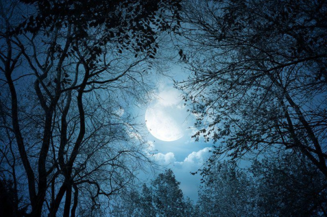 8 bài giải thích ý nghĩa nhan đề bài thơ ánh trăng (nguyễn duy) (ngữ văn 9) hay nhất