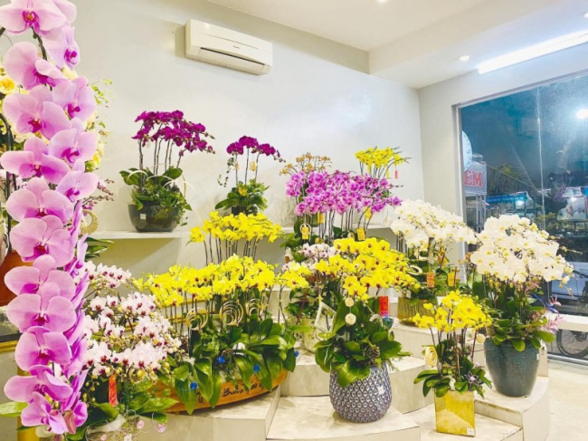 5 cửa hàng hoa tươi nổi tiếng nhất thành phố hà tĩnh