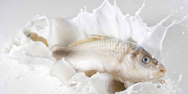 5 bí quyết giúp khử mùi tanh của cá một cách dễ dàng và cực kỳ hiệu quả