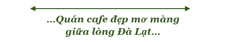 https://dalatreview.vn/tin-tuc-da-lat, quán cafe ôm trọn thiên nhiên mơ màng đà lạt “ ngày của nắng coffee”