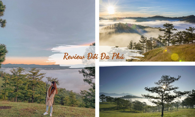 review đồi đa phú địa điểm picnic săn mây và ngắm cảnh đẹp của đà lạt, review đồi đa phú địa điểm picnic, săn mây và ngắm cảnh đẹp của đà lạt
