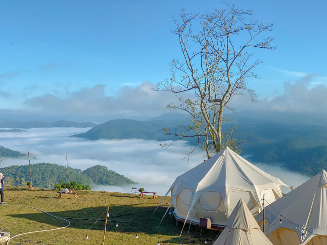 trải nghiệm tour cắm trại săn mây đà lạt cực chill, trải nghiệm tour cắm trại săn mây cầu đất đà lạt cực chill