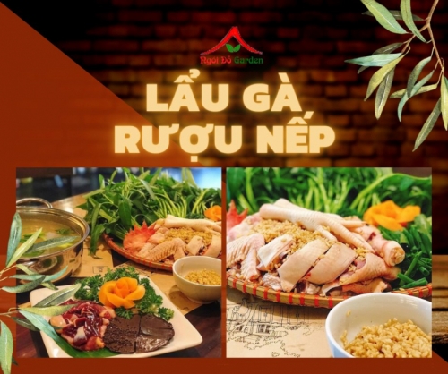 11 quán lẩu gà ngon nhất tại hà nội