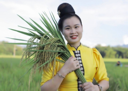 5 Đại lý bán gạo uy tín, chất lượng nhất tại tỉnh Sơn La