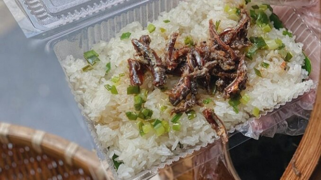 Nha Trang anchovy sticky rice – a rustic dish that makes many people “crave”
