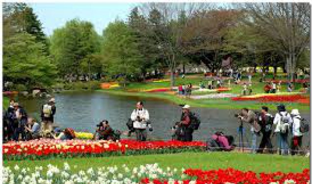 Top 6 công viên ở Tokyo dành cho các gia đình du lịch nhật bản
