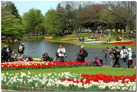 du lịch nhật bản, du lịch nước ngoài, top 6 công viên ở tokyo dành cho các gia đình du lịch nhật bản