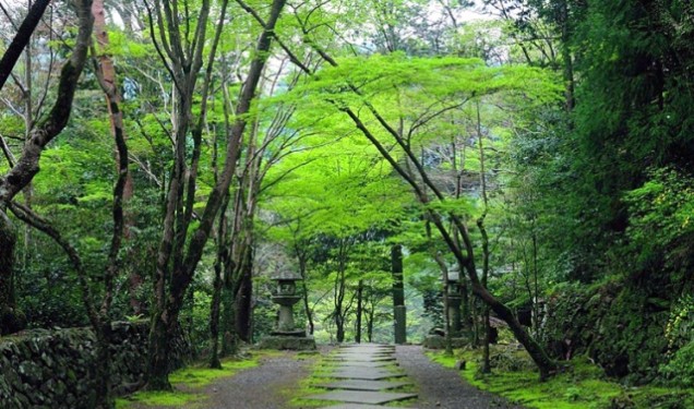 Những địa điểm du khách có thể khám phá mùa hè tại Nhật Bản