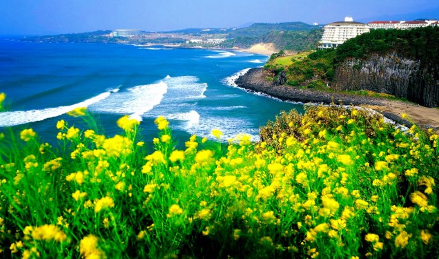 Khám phá đảo Jeju