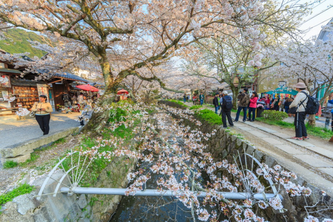hướng dẫn di chuyển tới những điểm đến tuyệt nhất của du lịch kyoto