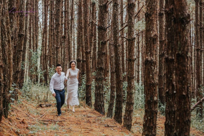 du lịch đà lạt, [review] top 10+ rừng thông đà lạt thơ mộng lãng mạn