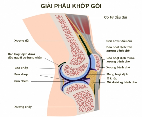 8 chấn thương thường gặp khi đá bóng