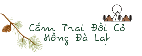 khám phá cắm trại đồi cỏ hồng đà lạt, cắm trại đồi cỏ hồng đà lạt, khám phá cắm trại đồi cỏ hồng đà lạt