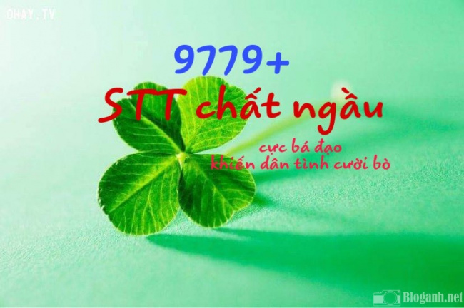 9779+ STT chất, ngầu khó đỡ khiến dân tình cười bò