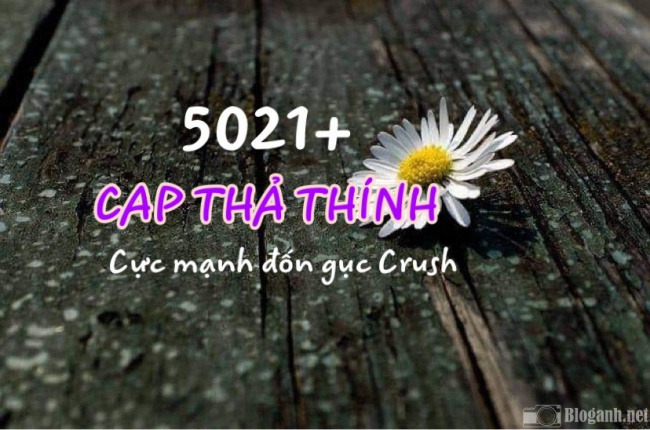 Trọn bộ 5021+ cap thả thính CỰC MẠNH ‘đốn gục’ Crush trong nháy mắt