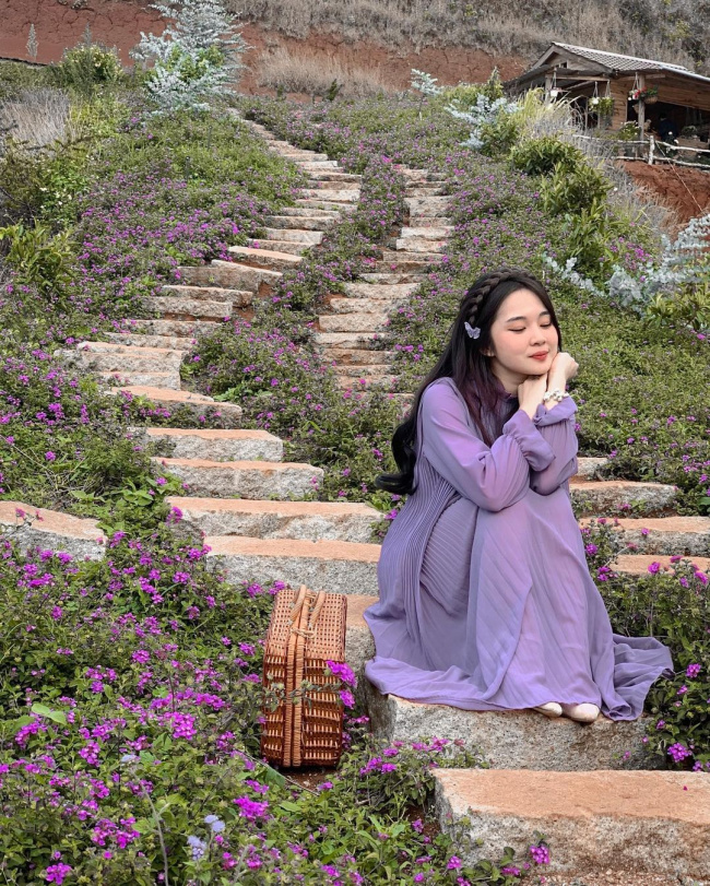 điểm đến đà lạt, “checkin” mỏi tay tại 4 vườn hoa lavender đà lạt tuyệt đẹp