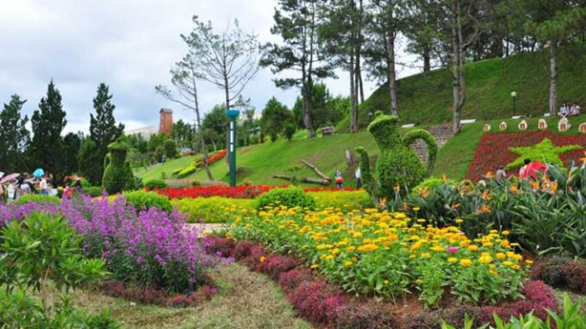 Da Lat is at the top of the most beautiful flower viewing spots in the world
