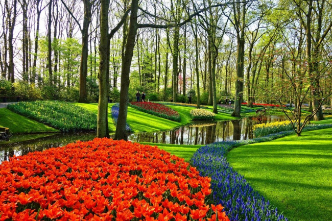 amsterdam, travel around europe, vietnam tourism, visit dalat, world titles for vietnam, da lat is at the top of the most beautiful flower viewing spots in the world