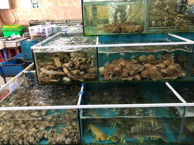 Vựa hải sản Tân Bình đưa bạn lạc vào thế giới thủy cung trên cạn