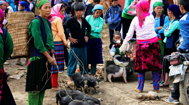 ăn chơi hà giang, 10+ đặc sản hà giang thơm ngon nức tiếng ăn quên lối về