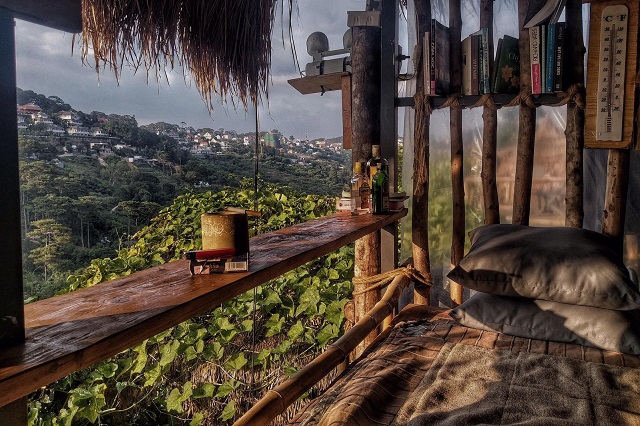 lưu trú ở đà lạt, homestay cú trên cây – thưởng view 360 độ “độc lạ” nhất đà lạt