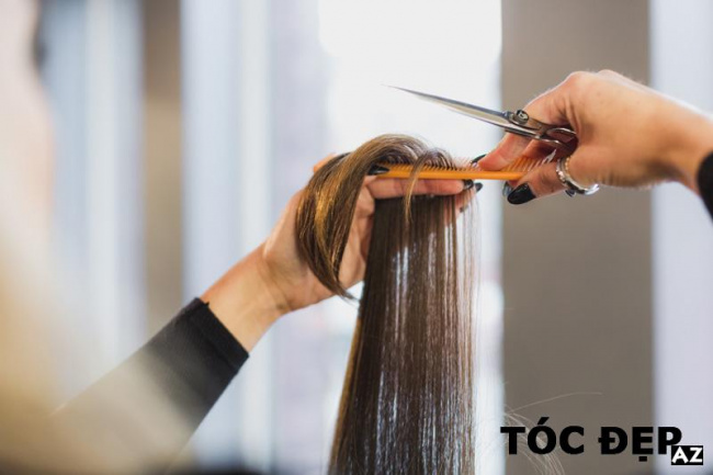 chăm sóc tóc, những mẹo phục hồi tóc hư tổn tại nhà bổ ích để có mái tóc khỏe đẹp