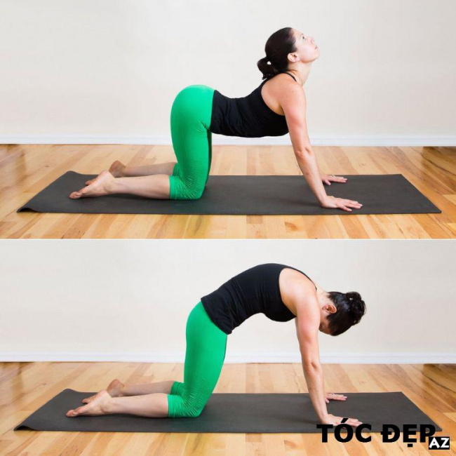 blog, tổng hợp một số bài tập yoga cho người đau vai gáy